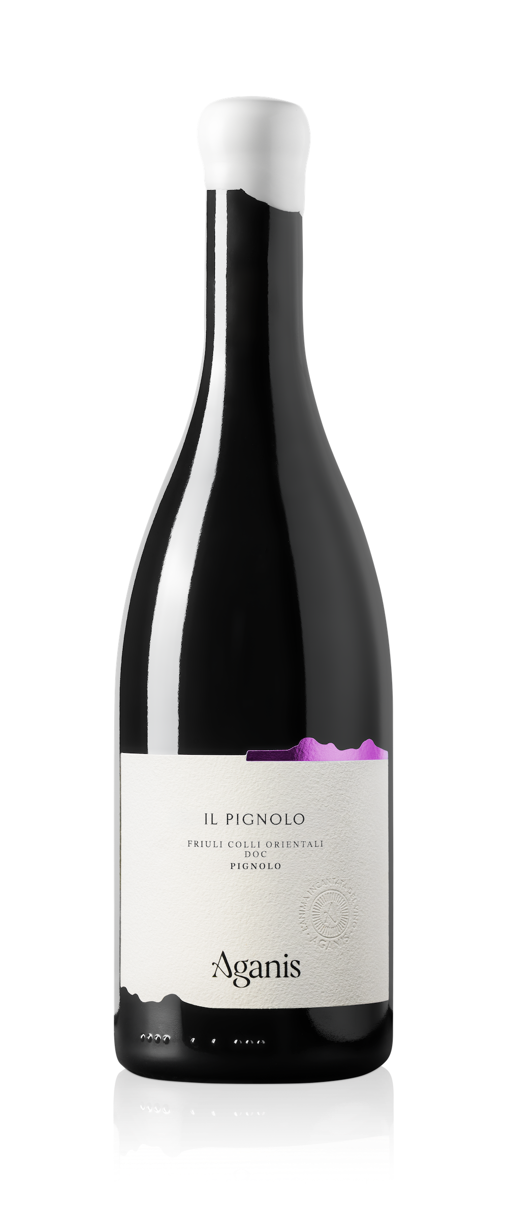 Il Pignolo